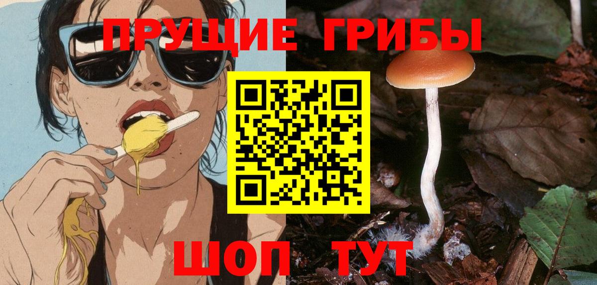 Белогорск  Псилоцибиновые грибы GOLDEN TEACHER  как найти   Галлюциногенные грибы мицелий  Вход с VPN 
