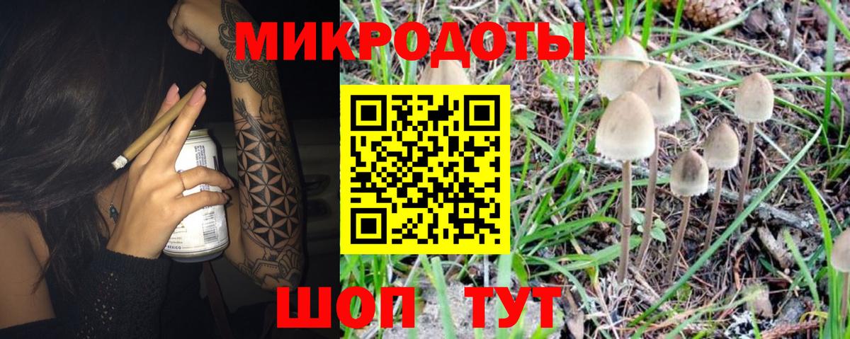 Псилоцибиновые грибы Psilocybine cubensis Белогорск